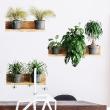 Wall decals 3D - Wall decal 3D effect tropical plants on shelves - ambiance-sticker.com