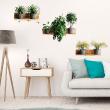 Wall decals 3D - Wall decal 3D effect tropical plants on shelves - ambiance-sticker.com