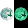 Glow in the dark wall decals - Wall decal phosphorescent moon + santa claus reindeer - ambiance-sticker.com