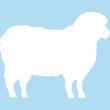 Wall decals Whiteboards - Wall decal whiteboard Sheep - ambiance-sticker.com