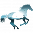 Animals wall decals - Horse of dreams wall decal - ambiance-sticker.com