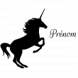 Wall decals Names - Unicorn Wall decal Customizable Names - ambiance-sticker.com
