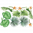 Nature wall decals - Wall decals tropical leaves and flowers of paradise - ambiance-sticker.com