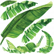 Nature wall decals - Wall decal nature tropical leaves - ambiance-sticker.com