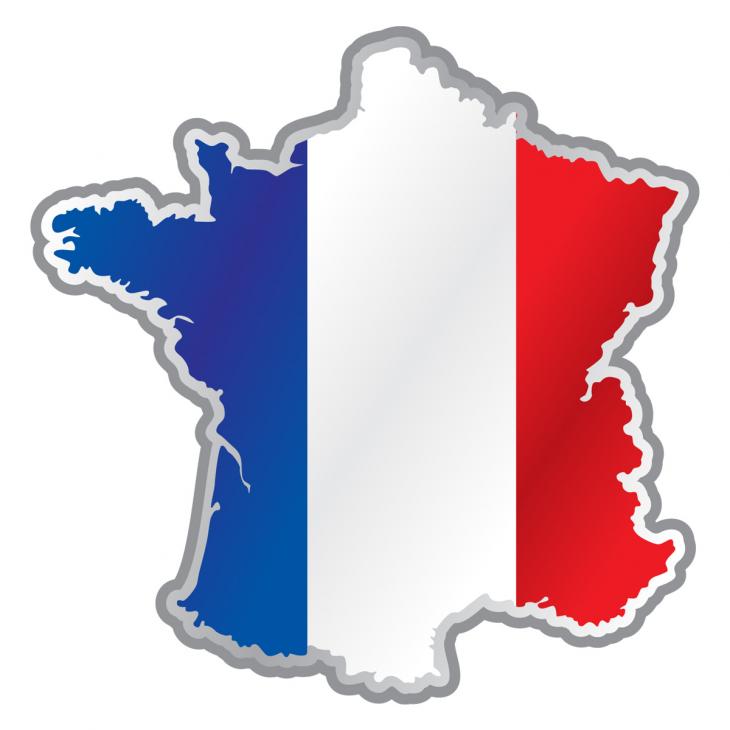 Car Stickers and Decals - Sticker France flag inside country shape - ambiance-sticker.com