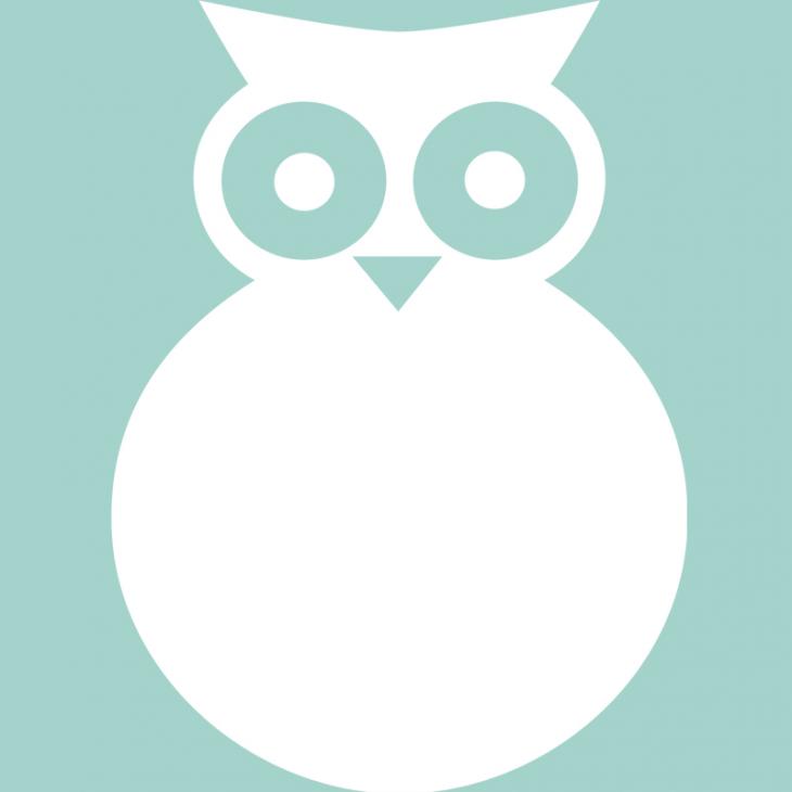 Wall decals whiteboards - Wall decal Owl Silhouette - ambiance-sticker.com