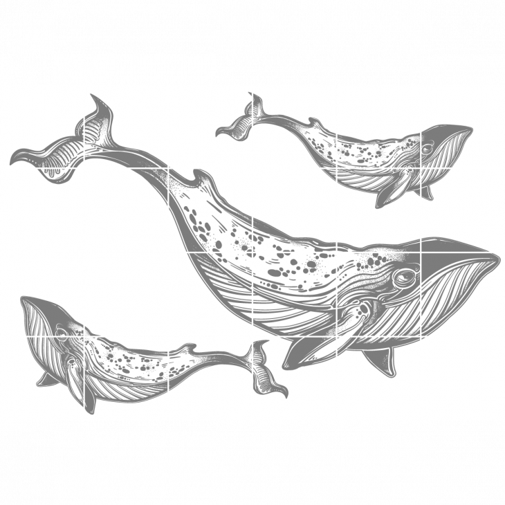 wall decal cement tiles - 24 wall decal cement tiles whales - ambiance-sticker.com