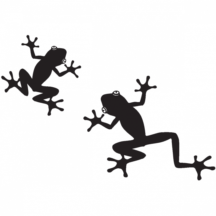 Wall decal car  Wall decal car frog frogs - ambiance-sticker.com