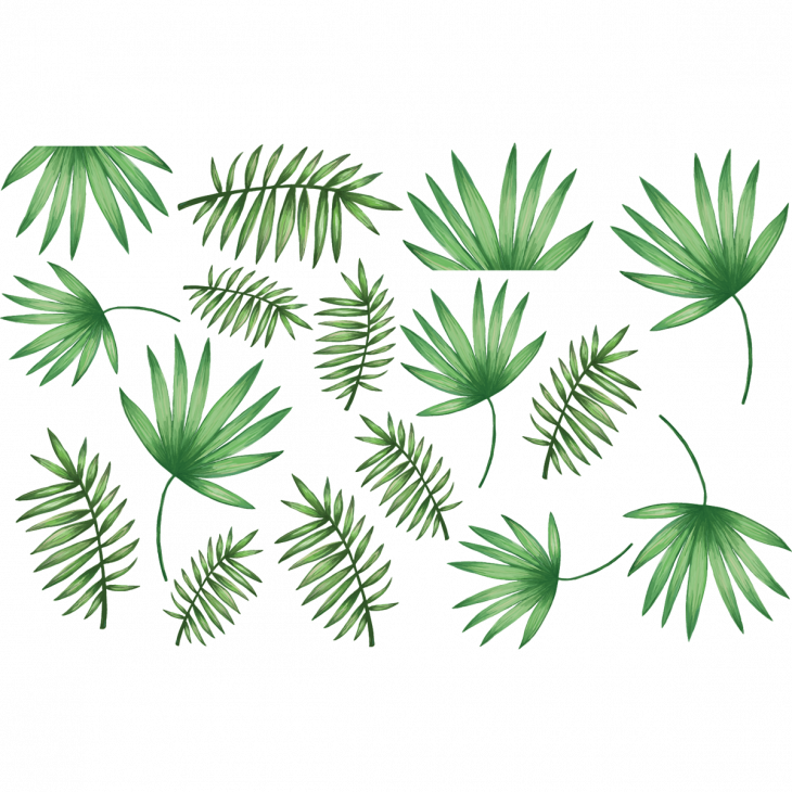 Nature wall decals - Wall decal palm leaves - ambiance-sticker.com