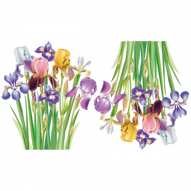Flower wall decals - Wall decal flower two bunches of irises - ambiance-sticker.com