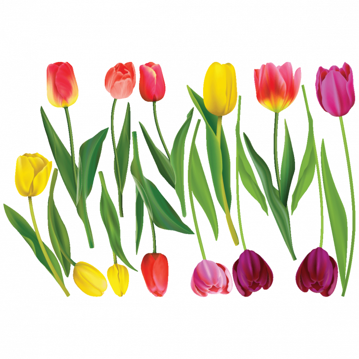 Flower wall decals - Wall decal flower colorful tulips - ambiance-sticker.com