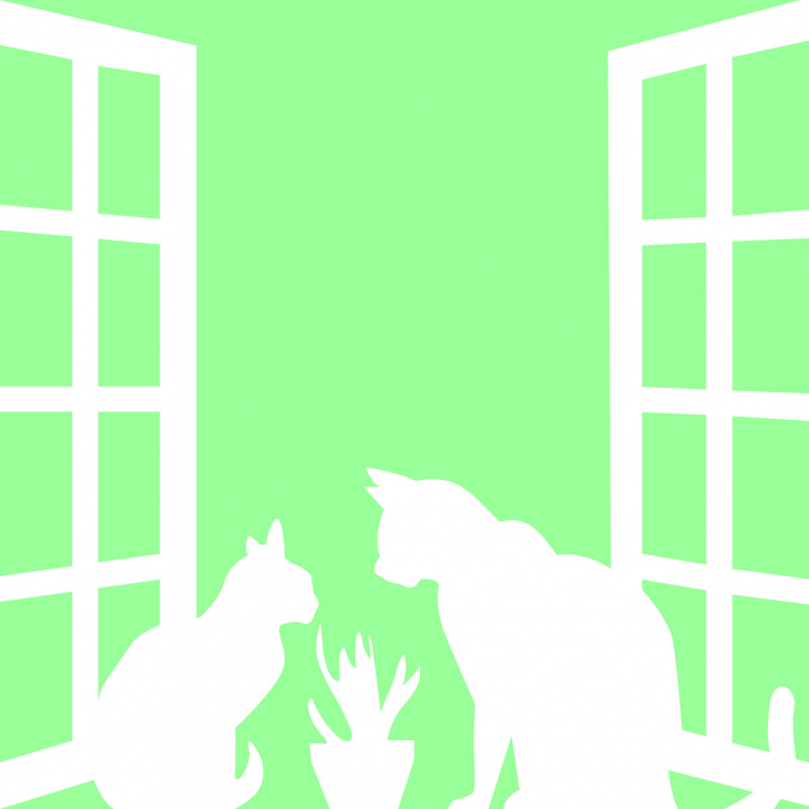 Love  wall decals - Wall decal Couple cats on a window - ambiance-sticker.com