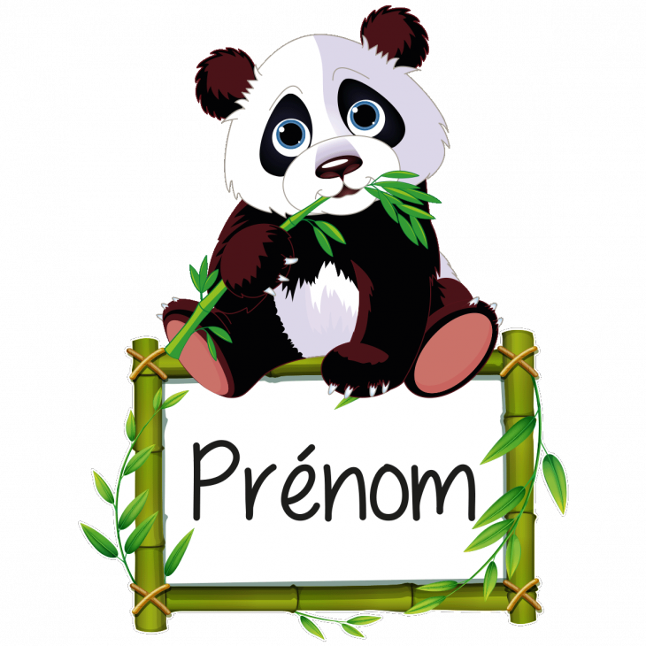 Wall decals Names - Wall decal panda and its bamboo customizable names - ambiance-sticker.com