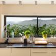 Vinilos opaca - Adhesivo de ventana 2 metros x 40 cm la jungla - ambiance-sticker.com