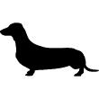 Vinilos Pizarras - Vinilo decorativo dachshund - ambiance-sticker.com