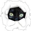 Vinilos decorativos Animales - Vinilo Gato negro con los ojos grandes - ambiance-sticker.com