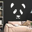 Vinilos decorativos Animales - Vinilo panda tímido - ambiance-sticker.com