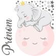 Vinilos Nombres - Vinilo nombres personalizable bebé elefante en la luna - ambiance-sticker.com