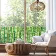 Vinilos opaca - Adhesivo ventana 100 x 40 cm bambúes - ambiance-sticker.com