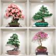 Vinilos decorativos 3D- Vinilo 3D bonsai de las 4 estaciones - ambiance-sticker.com