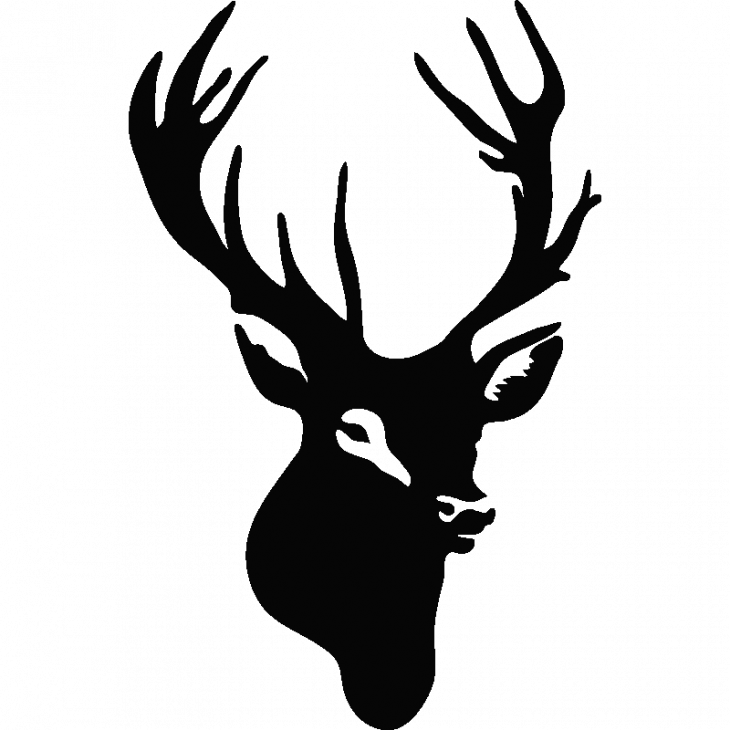 Cabeza de un ciervo - ambiance-sticker.com