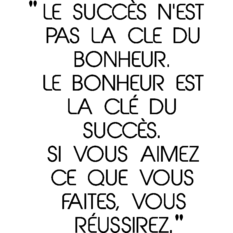 Wall Decal Quote Le Succces N Est Pas La Cle Du Bonheur Decoration Wall Decals Quote Wall Stickers French Ambiance Sticker