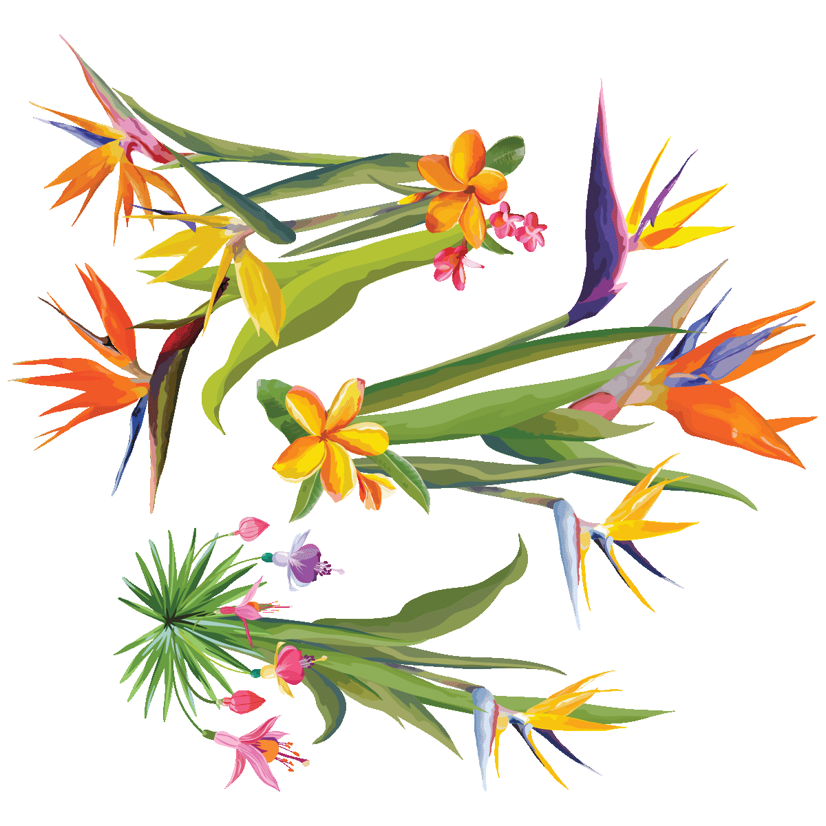 Sticker Fleurs Tropicales Trois Bouquets Des Oiseaux De Paradis