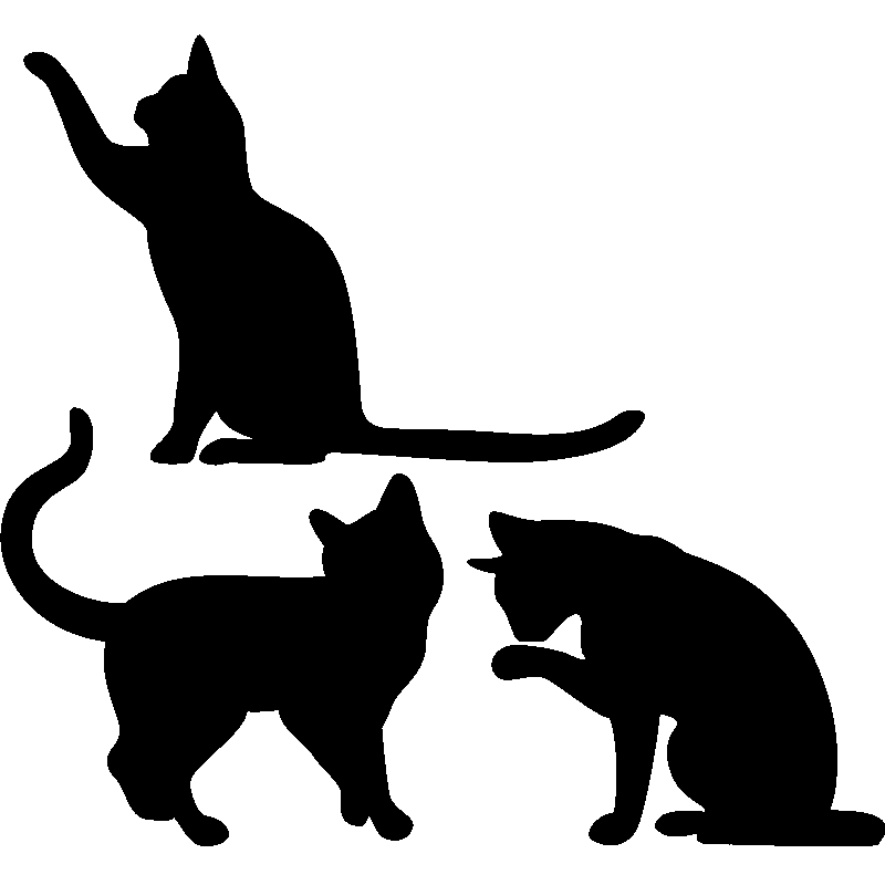 Stickers muraux Animaux Sticker Signe corporel de chat  
