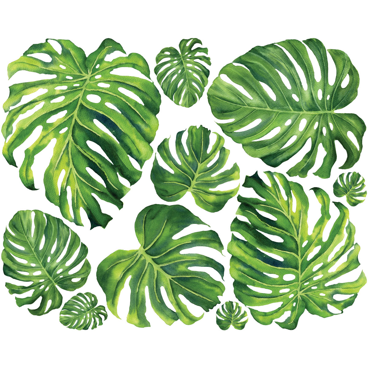 Sticker nature feuilles tropicales verdoyantes – Stickers STICKERS NATURE  Feuilles - Ambiance-sticker
