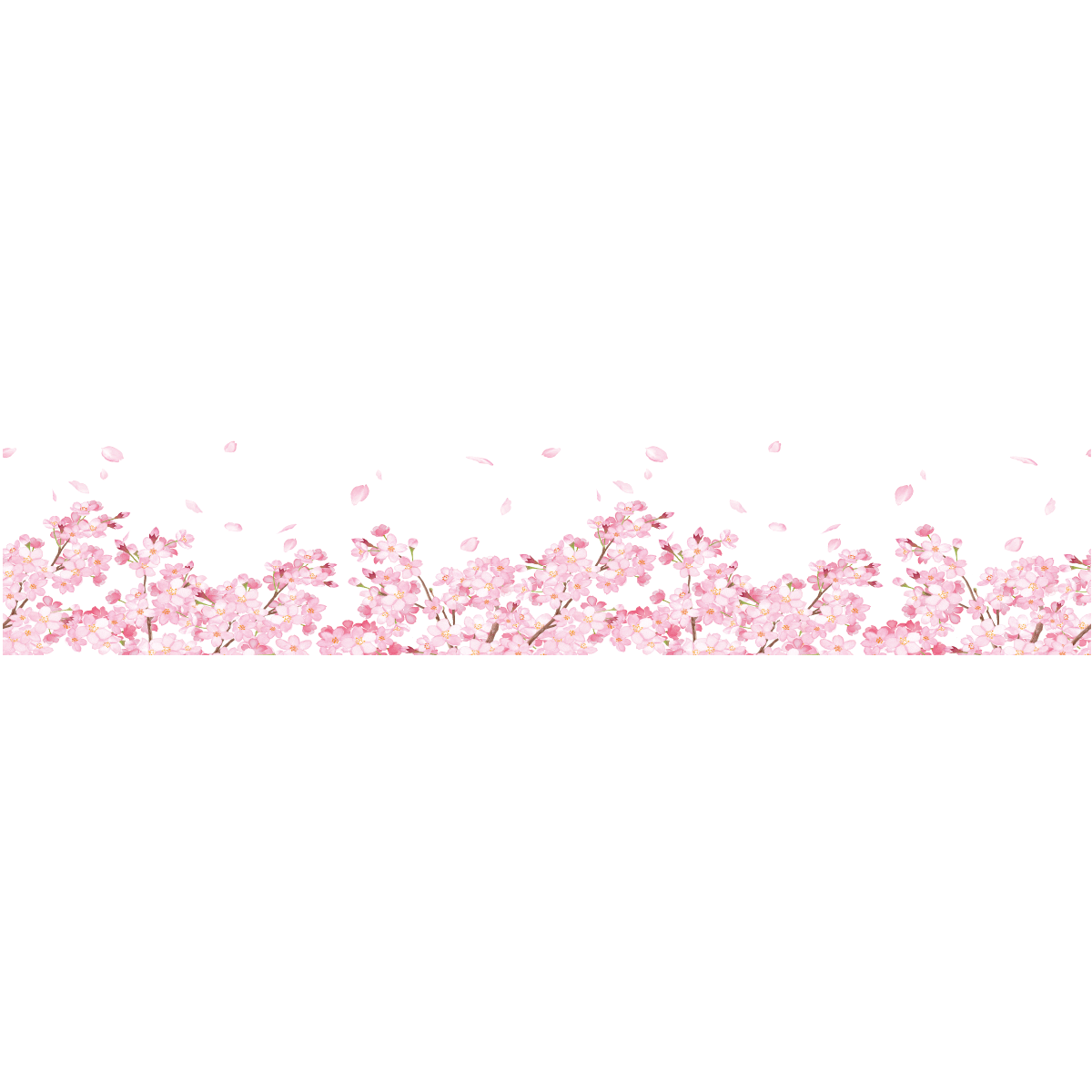Sticker occultant et privatif pour fenêtre 1 mètre x 40 cm fleurs de  cerisier – Stickers Professionnels Stickers Vitrine Magasin - Ambiance- sticker