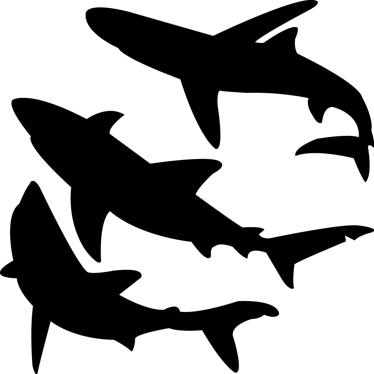 Adesivo squali