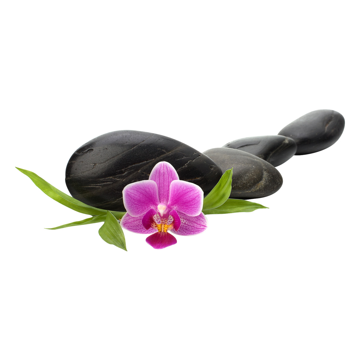 Autocollant Zen orchidée et roches empilées