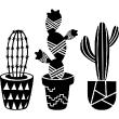 Stickers muraux nature - Sticker 3 variétés de cactus - ambiance-sticker.com