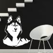 Omgekeerd hoofd van poolhond met donkere achtergrond - ambiance-sticker.com