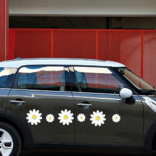 Car daisies flowers wall sticker