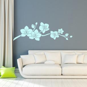 Wall decal Beautiful orchids