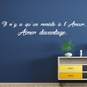 Quote wall decal le remède à l'amour