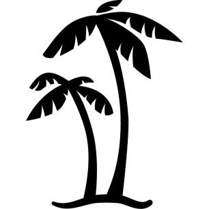 Dos palmeras
