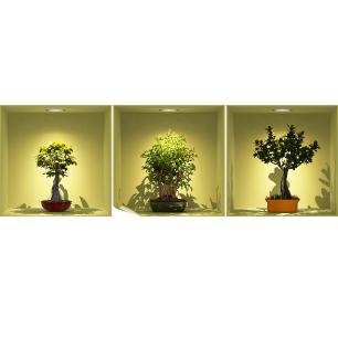 Mursticker effect 3D kleurrijke bonsai