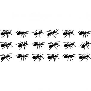 Wandtattoo marschierenden Ameisen