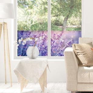 Verduisterings- en privacysticker voor raam 1 meter x 40 cm lavendel veld