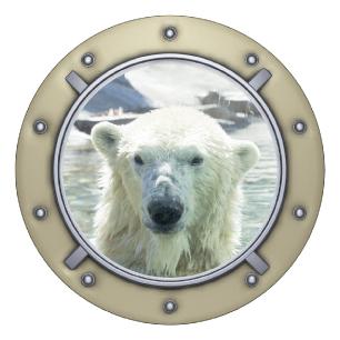 Adesivo Panorama Orso polare in oblò