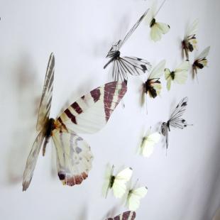 retort heuvel Fobie Muurstickers - Witte 3D Vlinders - 18 Butterflies 3D stickers trouw aan het  leven | Ambiance-sticker.com