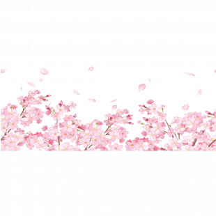 Sticker occultant et privatif pour fenêtre 1 mètre x 40 cm fleurs de  cerisier – Stickers Professionnels Stickers Vitrine Magasin - Ambiance- sticker