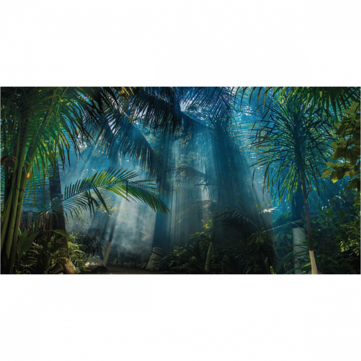 Papier peint panoramique pré-encollé - Papier peint panoramique jungle préencollé tropicale H 250 x L 480 cm - ambiance-sticker.com