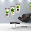 Adesivi murali 3D - Adesivo 3D le piante decorative rimangono - ambiance-sticker.com