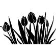 Adesivo Campi di tulipani - ambiance-sticker.com