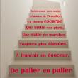 Adesivi murali design - Adesivo citazione  L'histoire de l'escalier - ambiance-sticker.com