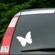 Farfalla - ambiance-sticker.com