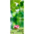 Adesivi di porte -Adesivo di porta fiore di loto - ambiance-sticker.com
